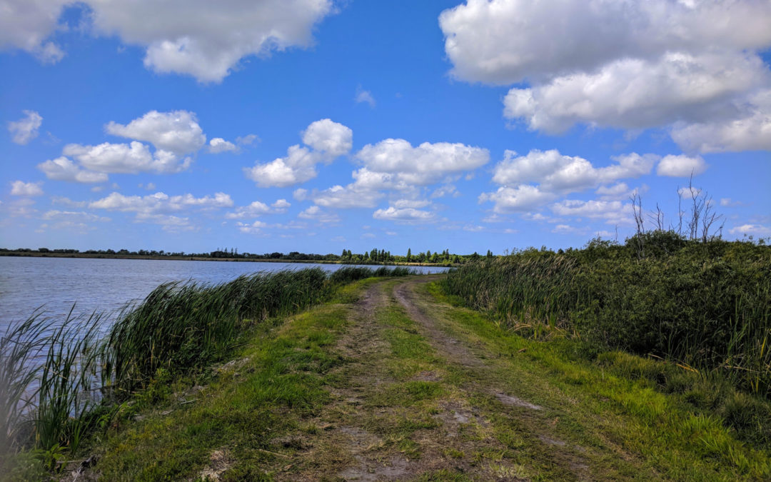 Se7en Wetlands: Lakeland’s Newest Park